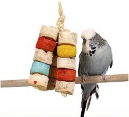 Show full view: Wesco Pet Chiquito Bird Kabob Bird Chew Toy slide 2 of 2