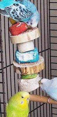 Show full view: Wesco Pet Especial Bird Kabob Bird Chew Toy slide 5 of 5