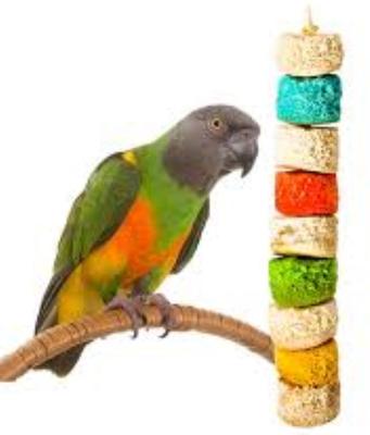 Show full view: Wesco Pet Especial Bird Kabob Bird Chew Toy slide 4 of 5