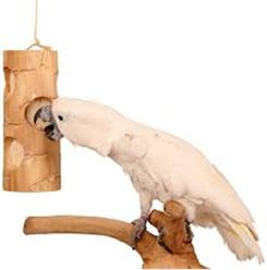 Wesco Pet Ole Bird Kabob Bird Chew Toy slide 2 of 2
