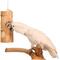 Show in main carousel: Wesco Pet Ole Bird Kabob Bird Chew Toy slide 2 of 2