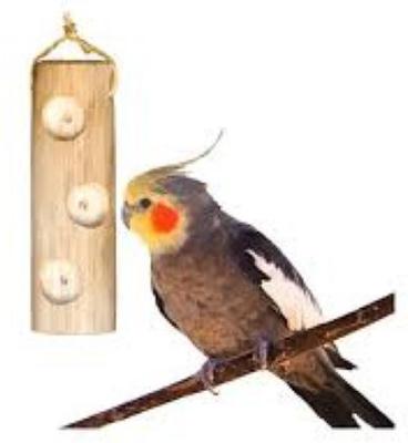 Show full view: Wesco Pet Ole Jr. Bird Kabob Bird Chew Toy slide 3 of 3