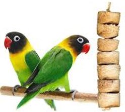 Wesco Pet Original Bird Kabob Shreddable Parrot Chew Toy slide 2 of 3