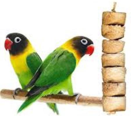 Show full view: Wesco Pet Original Bird Kabob Shreddable Parrot Chew Toy slide 3 of 4