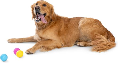 Show full view: West Paw Boundr Ball Dog Chew Toy, 2 count, Aqua Blue/Dandelion Yellow, Small slide 9 of 10