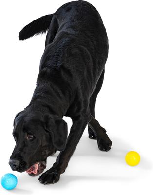 Show full view: West Paw Boundr Ball Dog Chew Toy, 2 count, Aqua Blue/Dandelion Yellow, Small slide 3 of 10