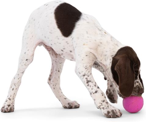 Show full view: West Paw Boundr Ball Dog Chew Toy, 2 count, Dandelion Yellow/Hot Pink, Small slide 9 of 11