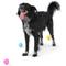 Show in main carousel: West Paw Boundr Ball Dog Chew Toy, 2 count, Dandelion Yellow/Hot Pink, Small slide 4 of 11