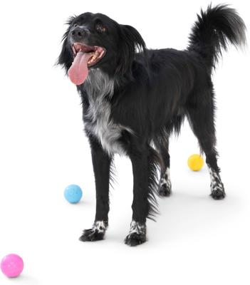 Show full view: West Paw Boundr Ball Dog Chew Toy, 2 count, Dandelion Yellow/Hot Pink, Small slide 4 of 11