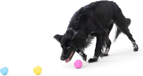 Show full view: West Paw Boundr Ball Dog Chew Toy, 2 count, Hot Pink/Aqua Blue, Small slide 3 of 10