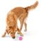 Show in main carousel: West Paw Boundr Ball Dog Chew Toy, 2 count, Hot Pink/Aqua Blue, Small slide 7 of 10