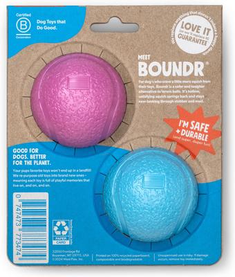 Show full view: West Paw Boundr Ball Dog Chew Toy, 2 count, Hot Pink/Aqua Blue, Small slide 2 of 10