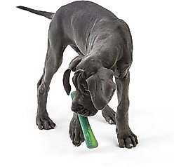 West Paw Drifty Dog Chew Toy, Emerald, Large slide 2 of 3