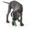 Show in main carousel: West Paw Drifty Dog Chew Toy, Emerald, Large slide 3 of 5