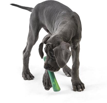Show full view: West Paw Drifty Dog Chew Toy, Emerald, Large slide 3 of 5