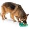 Show in main carousel: West Paw Feast Mat All-In-One Bubbles Non-skid Plastic Dog Slow Feeder & Lick Mat, Kelp slide 7 of 9