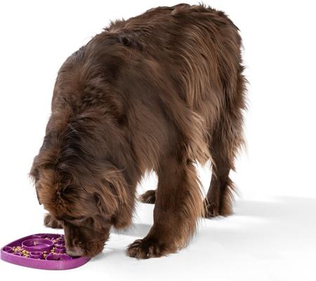 Show full view: West Paw Feast Mat All-In-One Bubbles Non-skid Plastic Dog Slow Feeder & Lick Mat, Tropic Red slide 2 of 7
