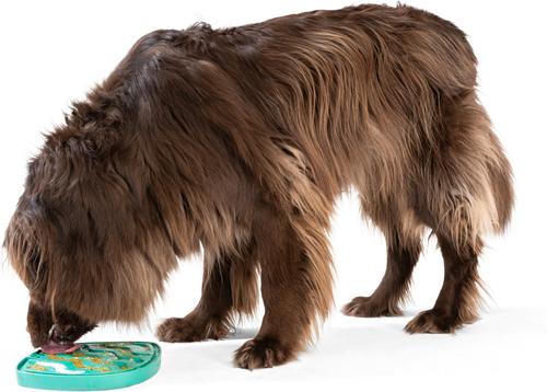 Show full view: West Paw Feast Mat All-In-One Waves Non-skid Plastic Dog Slow Feeder & Lick Mat, Kelp slide 2 of 7