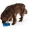Show in main carousel: West Paw Feast Mat All-In-One Waves Non-skid Plastic Dog Slow Feeder & Lick Mat, Marine slide 3 of 9