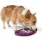 Show in main carousel: West Paw Feast Mat All-In-One Waves Non-skid Plastic Dog Slow Feeder & Lick Mat, Tropic Red slide 2 of 7