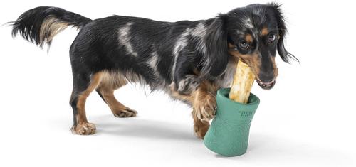 Show full view: West Paw Funnl Dog Toy, Large, 4.25-in, Kelp slide 3 of 9