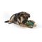 Show in main carousel: West Paw Funnl Dog Toy, Large, 4.25-in, Kelp slide 8 of 9