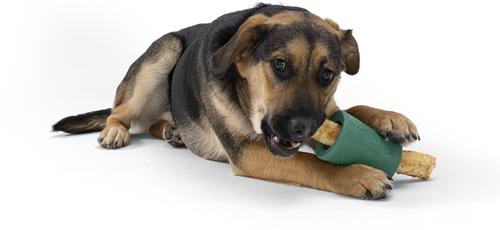 Show full view: West Paw Funnl Dog Toy, Large, 4.25-in, Kelp slide 8 of 9