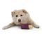 Show in main carousel: West Paw Funnl Dog Toy, Large, 4.25-in, Tropic Red slide 5 of 8