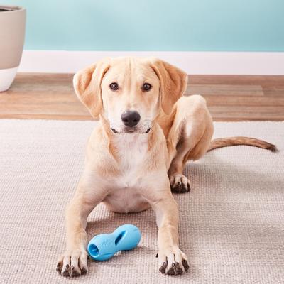 Show full view: West Paw Qwizl Tough Treat Dispensing Dog Chew Toy, Aqua Blue, Small slide 3 of 9