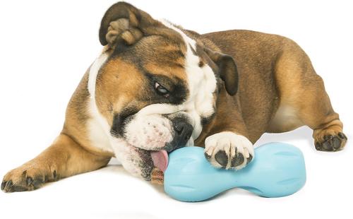 Show full view: West Paw Qwizl Tough Treat Dispensing Dog Chew Toy, Aqua Blue, Small slide 4 of 9