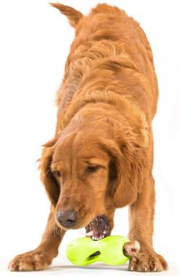 Show full view: West Paw Qwizl Tough Treat Dispensing Dog Chew Toy, Granny Smith Green, Large slide 4 of 10