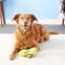 Show in main carousel: West Paw Qwizl Tough Treat Dispensing Dog Chew Toy, Granny Smith Green, Large slide 6 of 10
