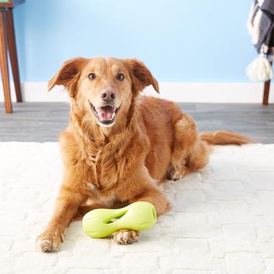 Show full view: West Paw Qwizl Tough Treat Dispensing Dog Chew Toy, Granny Smith Green, Large slide 6 of 10