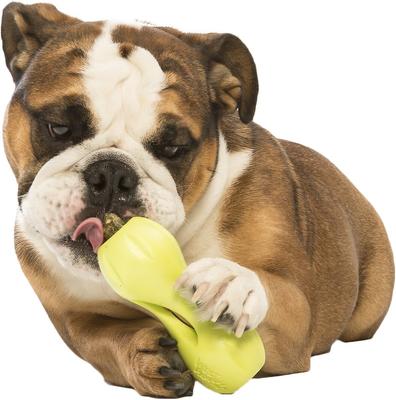 Show full view: West Paw Qwizl Tough Treat Dispensing Dog Chew Toy, Granny Smith Green, Small slide 4 of 10