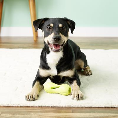 Show full view: West Paw Qwizl Tough Treat Dispensing Dog Chew Toy, Granny Smith Green, Small slide 6 of 10