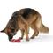 Show in main carousel: West Paw Qwizl Tough Treat Dispensing Dog Chew Toy, Ruby Red, Large slide 3 of 7