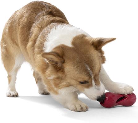 Show full view: West Paw Qwizl Tough Treat Dispensing Dog Chew Toy, Ruby Red, Small slide 3 of 7