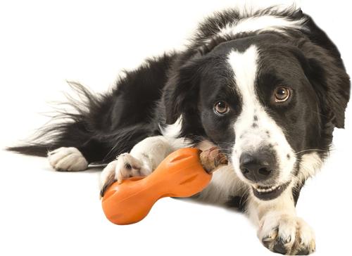 Show full view: West Paw Qwizl Tough Treat Dispensing Dog Chew Toy, Tangerine Orange, Large slide 3 of 9