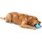 Show in main carousel: West Paw Rumbl Bouncy Ball Dog Toy, Aqua Blue, Large slide 9 of 10