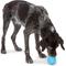 Show in main carousel: West Paw Rumbl Bouncy Ball Dog Toy, Aqua Blue, Large slide 8 of 10