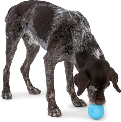 Show full view: West Paw Rumbl Bouncy Ball Dog Toy, Aqua Blue, Large slide 8 of 10