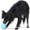 Show in main carousel: West Paw Rumbl Bouncy Ball Dog Toy, Aqua Blue, Large slide 6 of 10