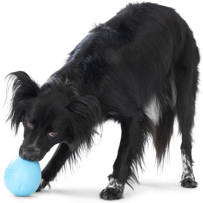 Show full view: West Paw Rumbl Bouncy Ball Dog Toy, Aqua Blue, Large slide 6 of 10