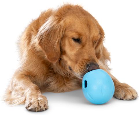 Show full view: West Paw Rumbl Bouncy Ball Dog Toy, Aqua Blue, Large slide 4 of 10