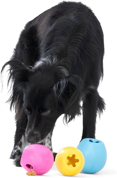 West Paw Rumbl Bouncy Ball Dog Toy