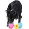 Show in main carousel: West Paw Rumbl Bouncy Ball Dog Toy, Aqua Blue, Small slide 7 of 10