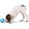 Show in main carousel: West Paw Rumbl Bouncy Ball Dog Toy, Aqua Blue, Small slide 4 of 10