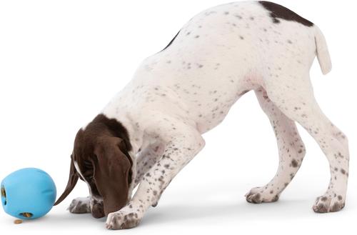 Show full view: West Paw Rumbl Bouncy Ball Dog Toy, Aqua Blue, Small slide 4 of 10