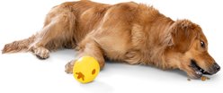 West Paw Rumbl Bouncy Ball Dog Toy, Dandelion Yellow, Large slide 2 of 9