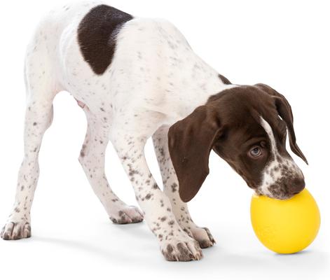 Show full view: West Paw Rumbl Bouncy Ball Dog Toy, Dandelion Yellow, Small slide 5 of 11